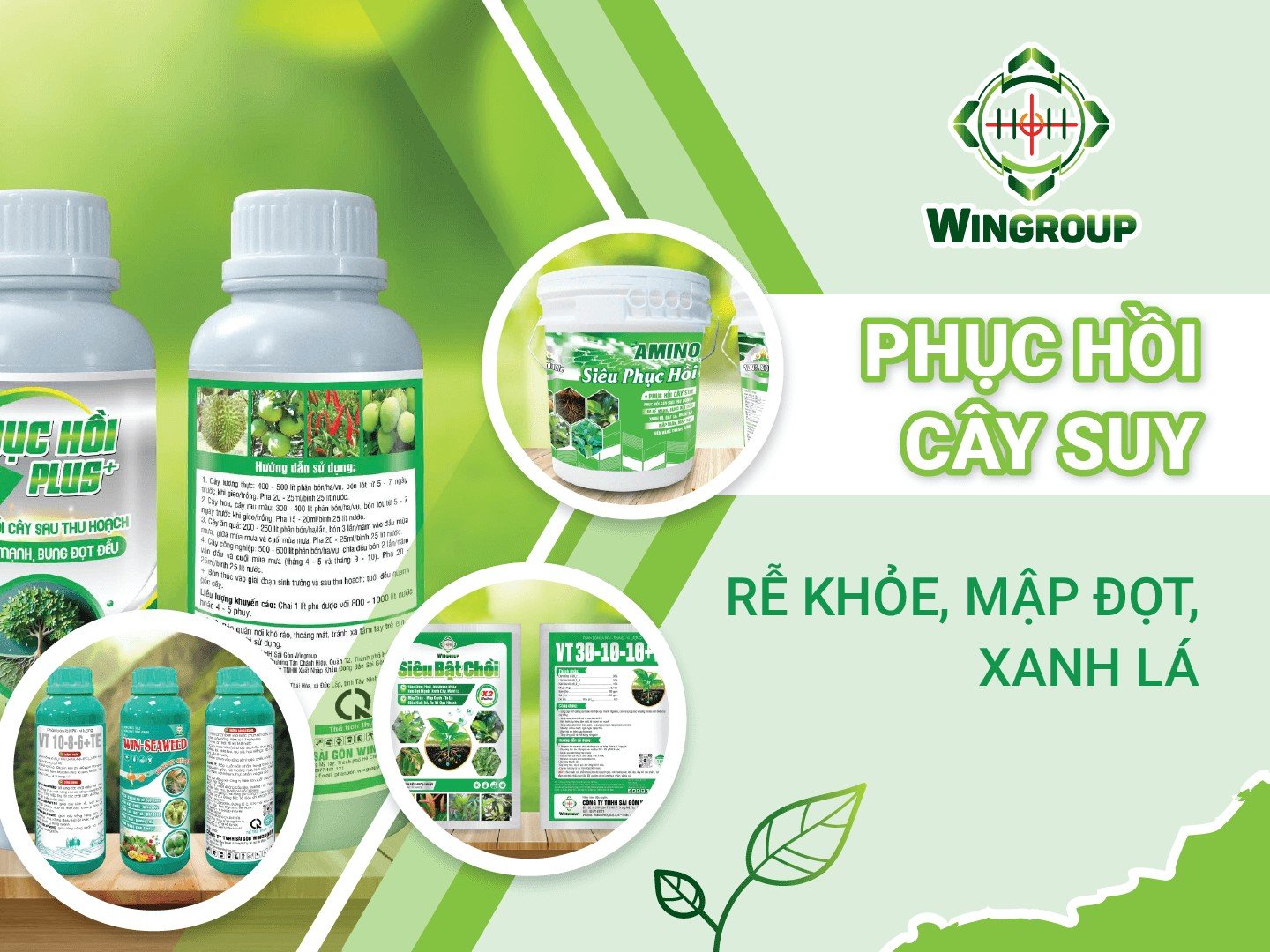Banner Wingroup — phục hồi cây suy, rễ khỏe