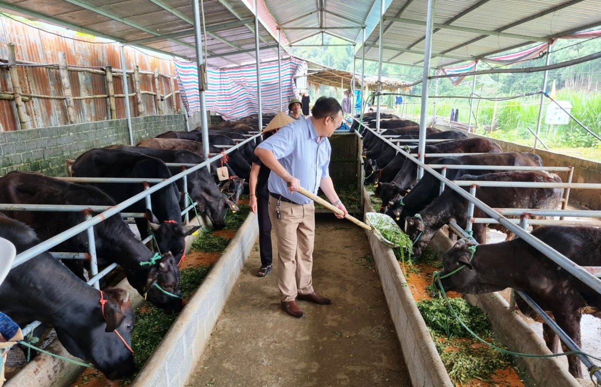 WINGROUP đồng hành cùng nhà nông