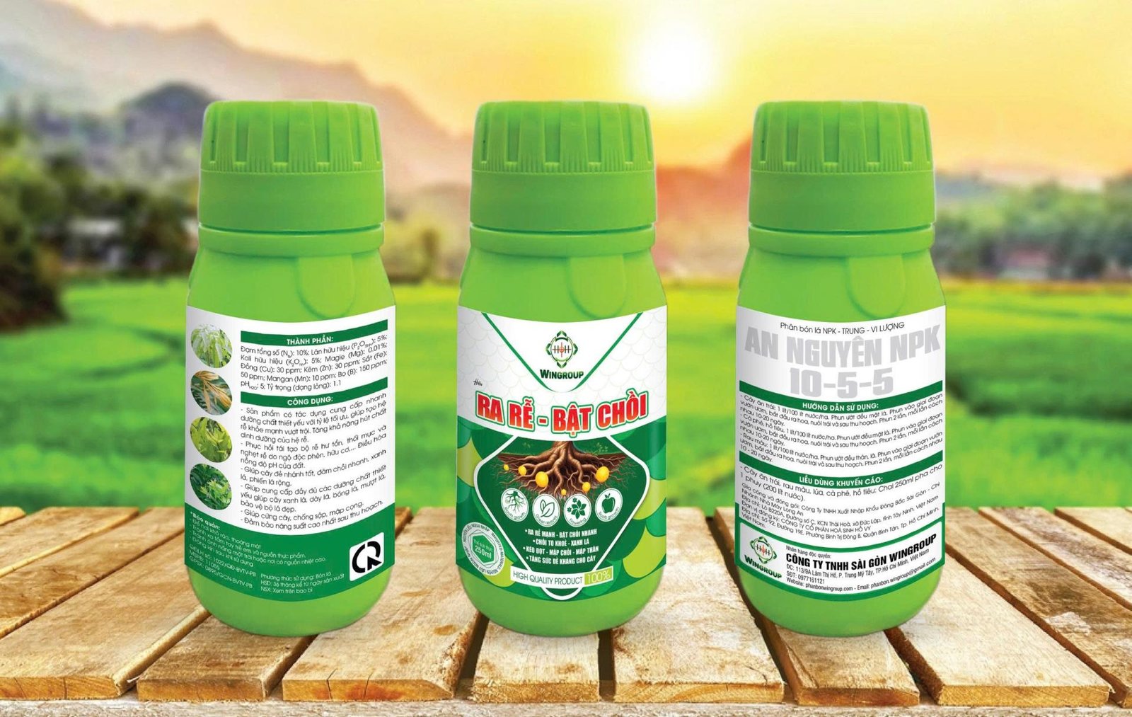 GREEN LIFE Ra rễ, bật chồi, xanh lá